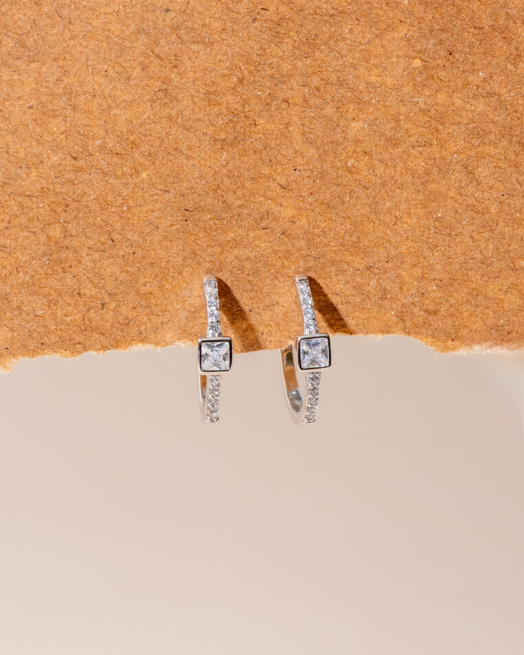 Silver Hoops Earrings