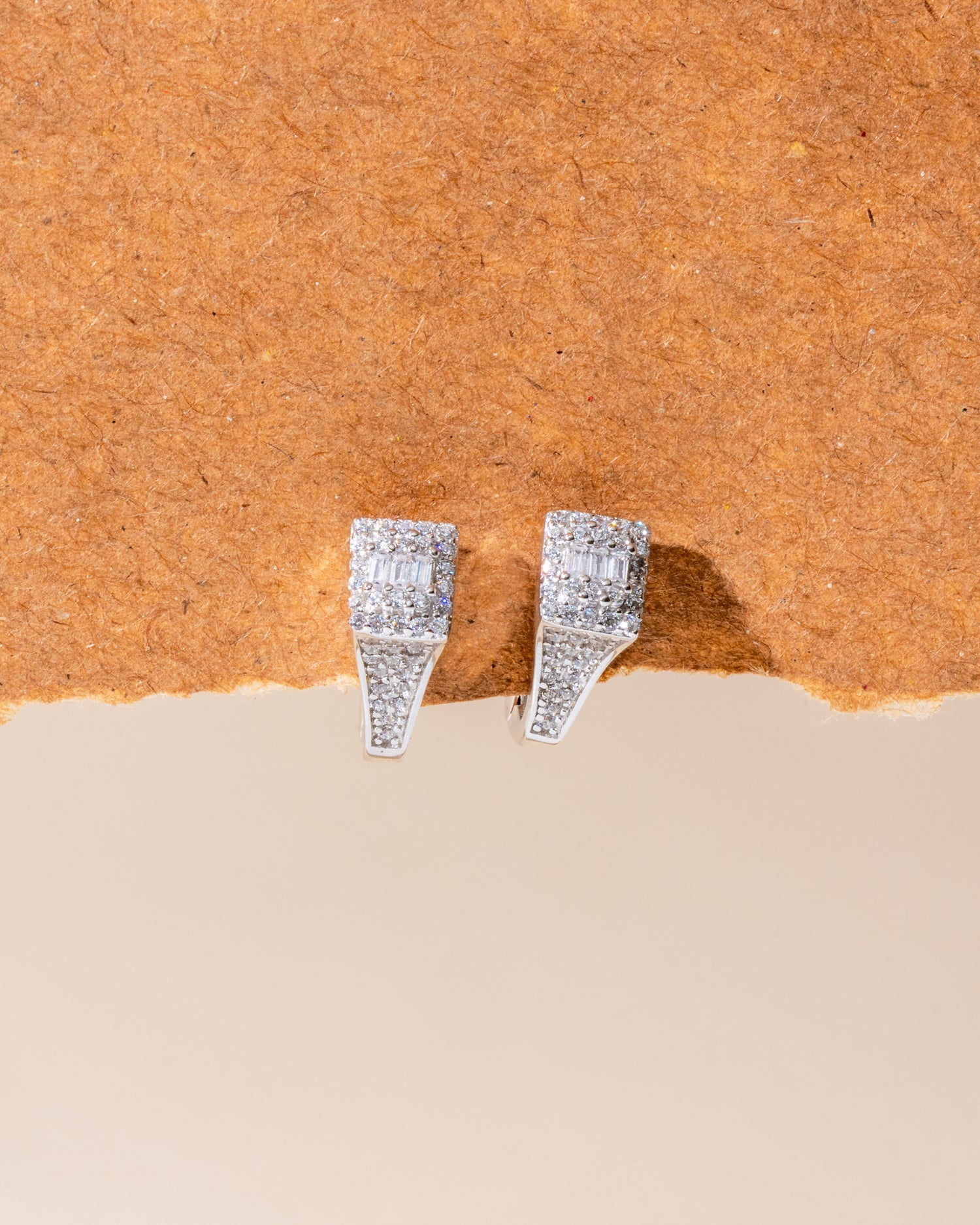Silver Hoops Earrings